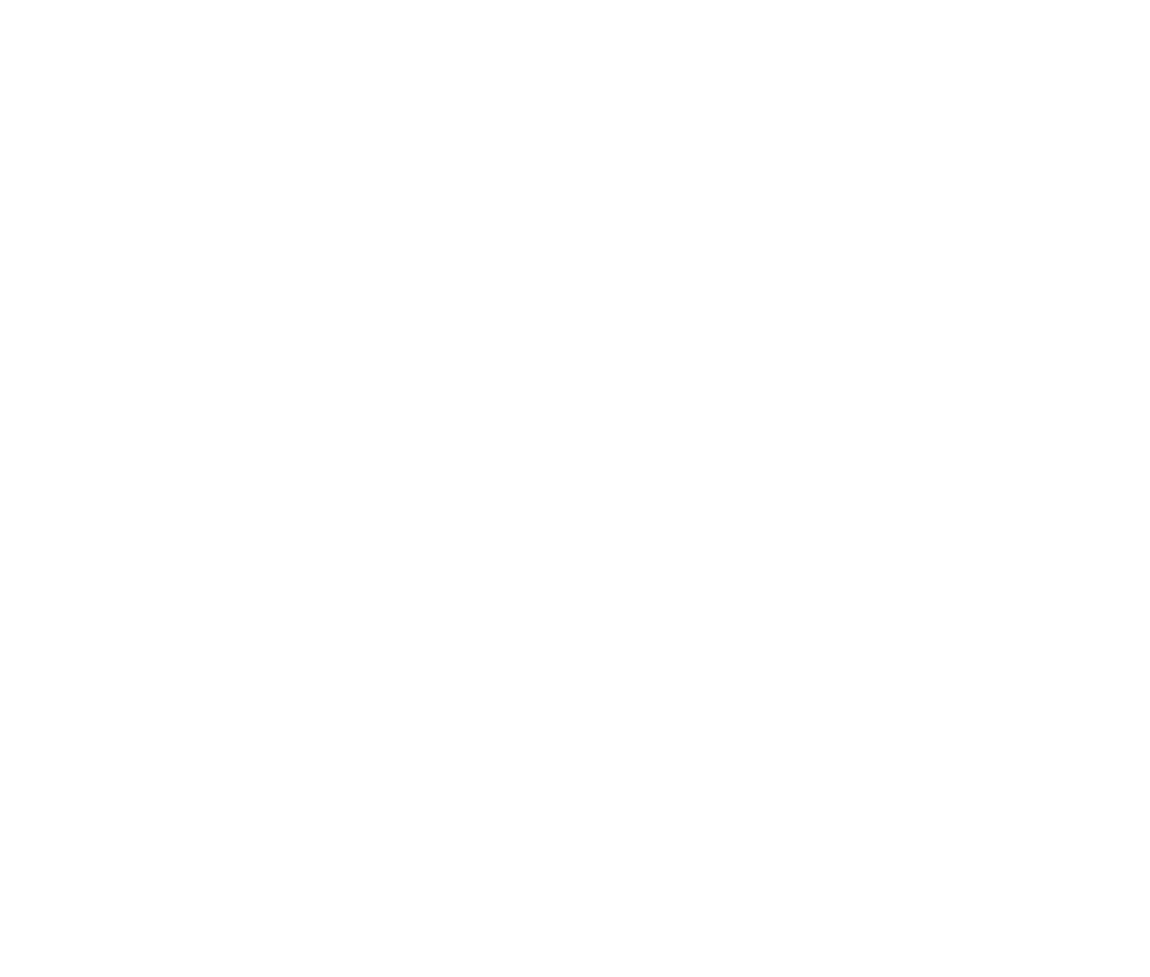EZVIZ Logo white